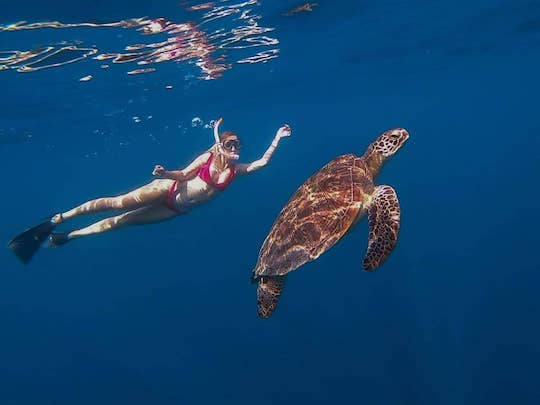 Turtle Gili Islands, Indonesia | Snorkelling Adventures | Stay Lost