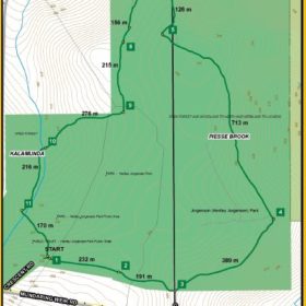 Jorgensen Park Trail Map