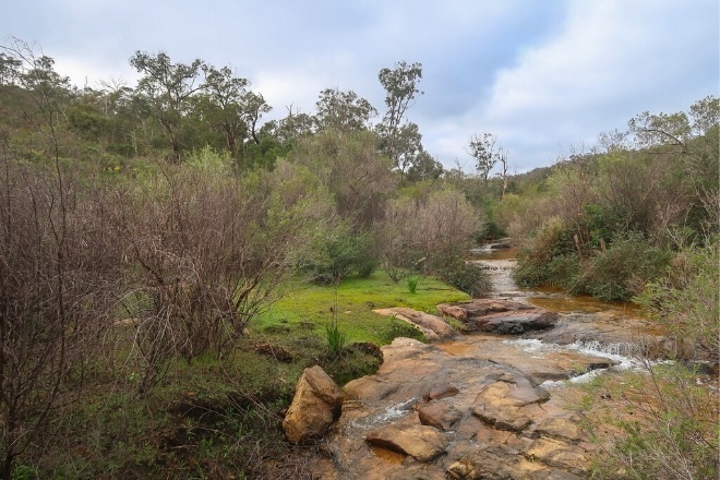 Bickley Reservoir - Perth Hiking & Trekking 660 x 440